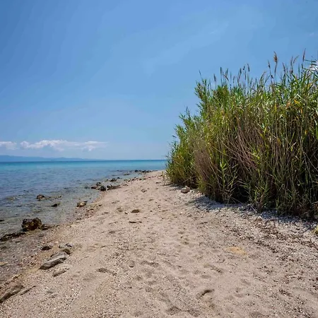 Casa Bianca Sea View Case de vacanță *